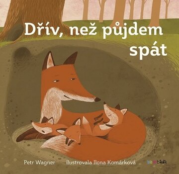 Obálka knihy Dřív než půjdem spát
