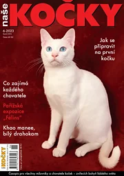Naše kočky 6/2023
