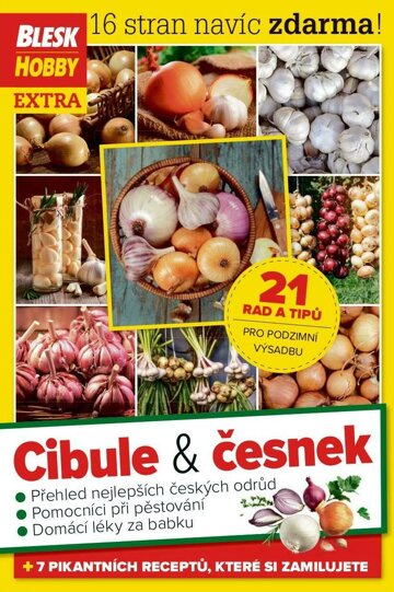 Obálka e-magazínu Příloha Blesk Hobby 5.9.2018