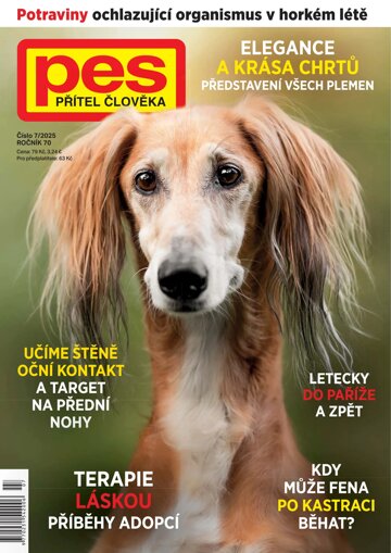 Obálka e-magazínu Pes přítel člověka 7/2025