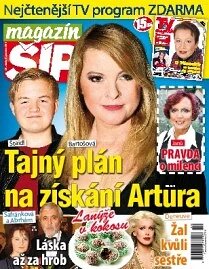Obálka e-magazínu Magazín Šíp 50/2013