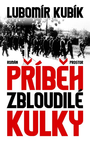 Obálka knihy Příběh zbloudilé kulky