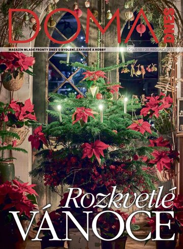 Obálka e-magazínu Doma DNES 20.12.2023