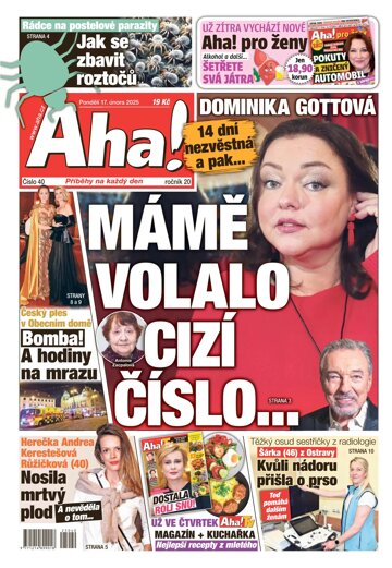 Obálka e-magazínu AHA! 17.2.2025