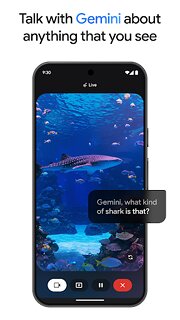 Snímek obrazovky aplikace Google Gemini
