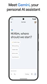 Snímek obrazovky aplikace Google Gemini