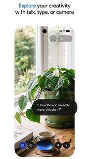 Snímek obrazovky aplikace Google Gemini