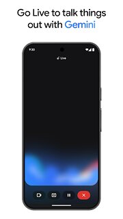 Snímek obrazovky aplikace Google Gemini