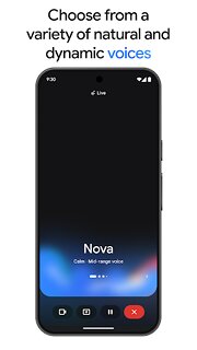 Snímek obrazovky aplikace Google Gemini