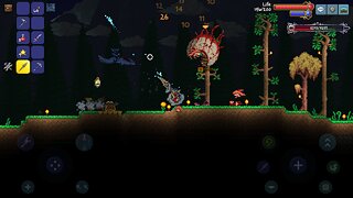 Snímek obrazovky aplikace Terraria