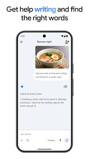 Snímek obrazovky aplikace Google Gemini