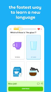 Snímek obrazovky aplikace Duolingo: Language Lessons