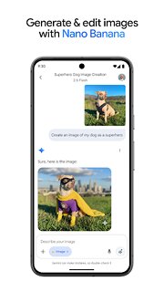 Snímek obrazovky aplikace Google Gemini