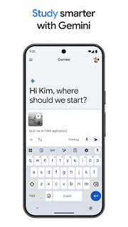 Snímek obrazovky aplikace Google Gemini