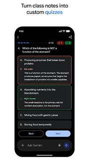 Snímek obrazovky aplikace Google Gemini