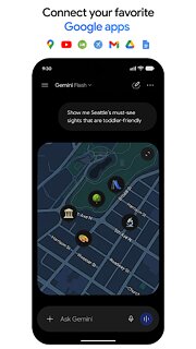 Snímek obrazovky aplikace Google Gemini