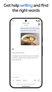 Snímek obrazovky aplikace Google Gemini